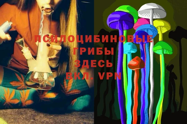 дурь Касимов