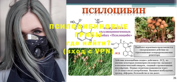 молекула духа Карпинск