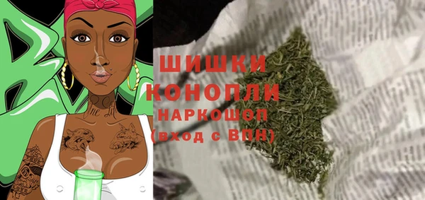 молекула духа Карпинск