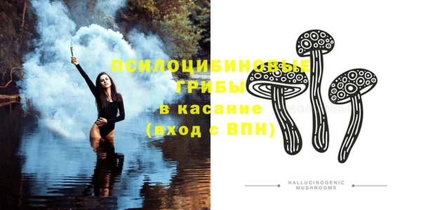 дурь Касимов