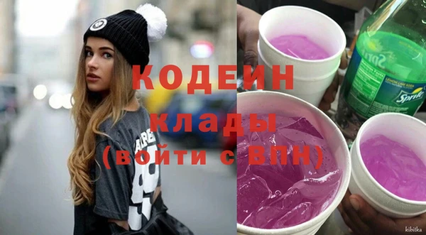 молекула духа Карпинск